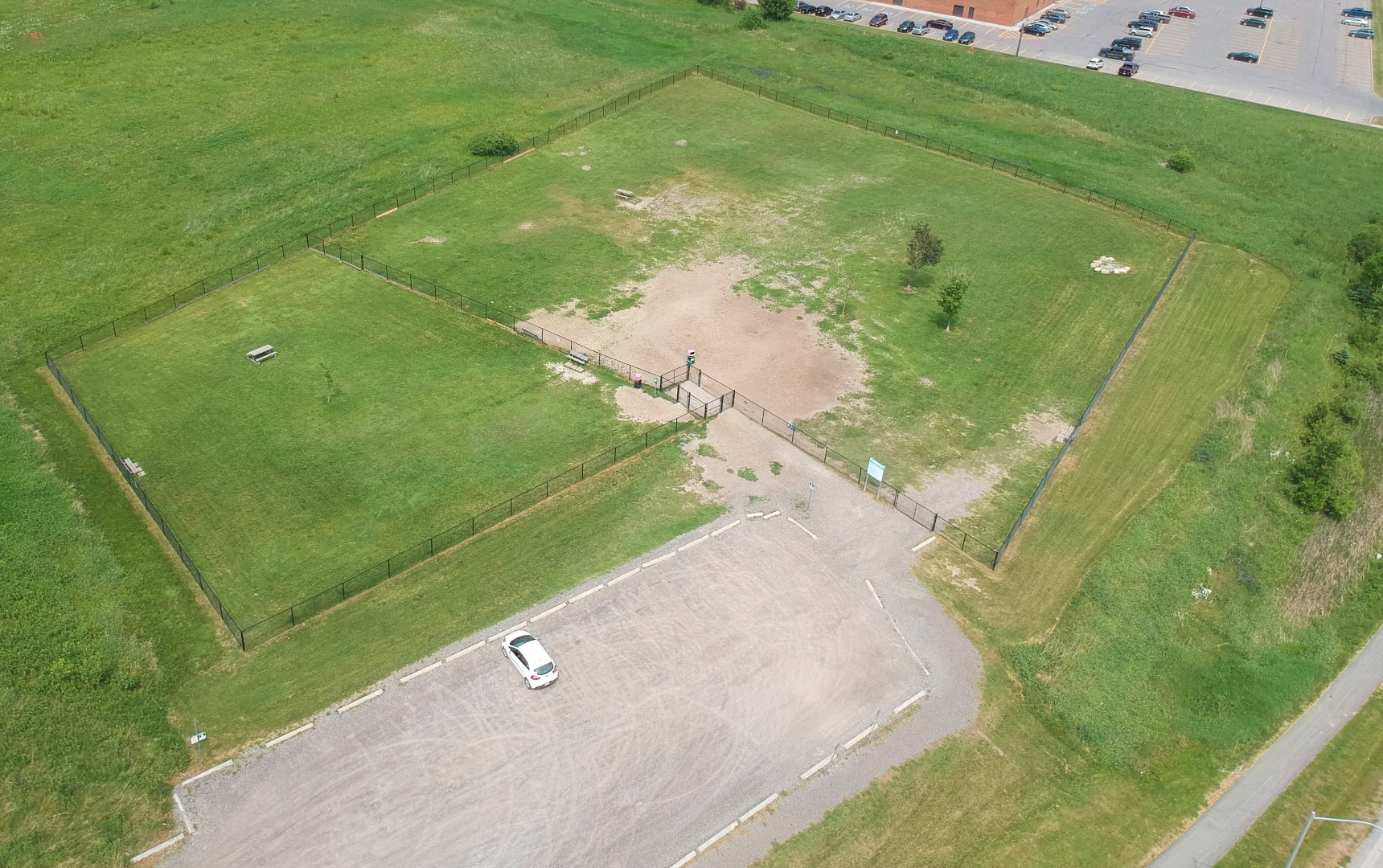 Image of Off-Leash Dog Park